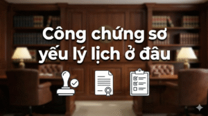 Cong chung so yeu ly lich o dau